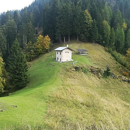 B&B Ai Pini Tiarno di Sopra 외부 사진